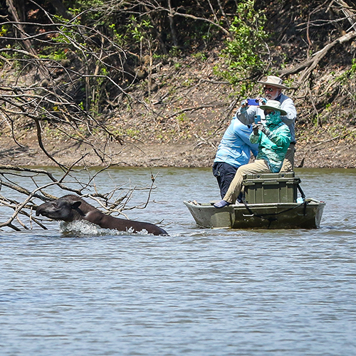 colombia nature fishing