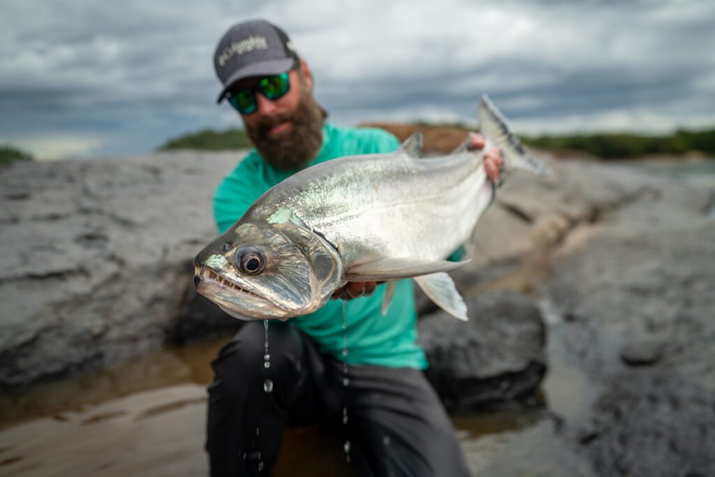 Payara