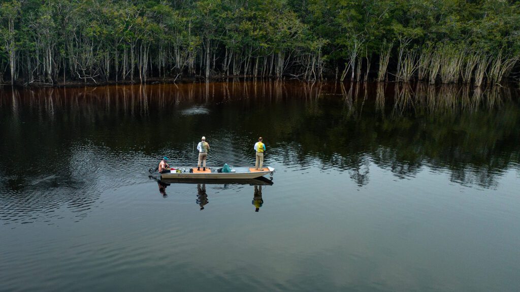 Amazon Peacock Bass Gear Guide