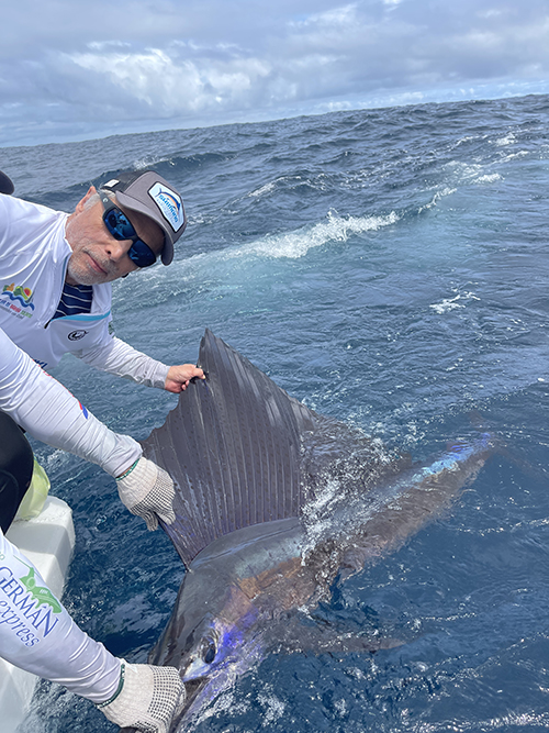 fishing colombia sailfish