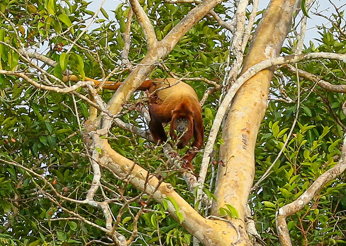 colombia nature