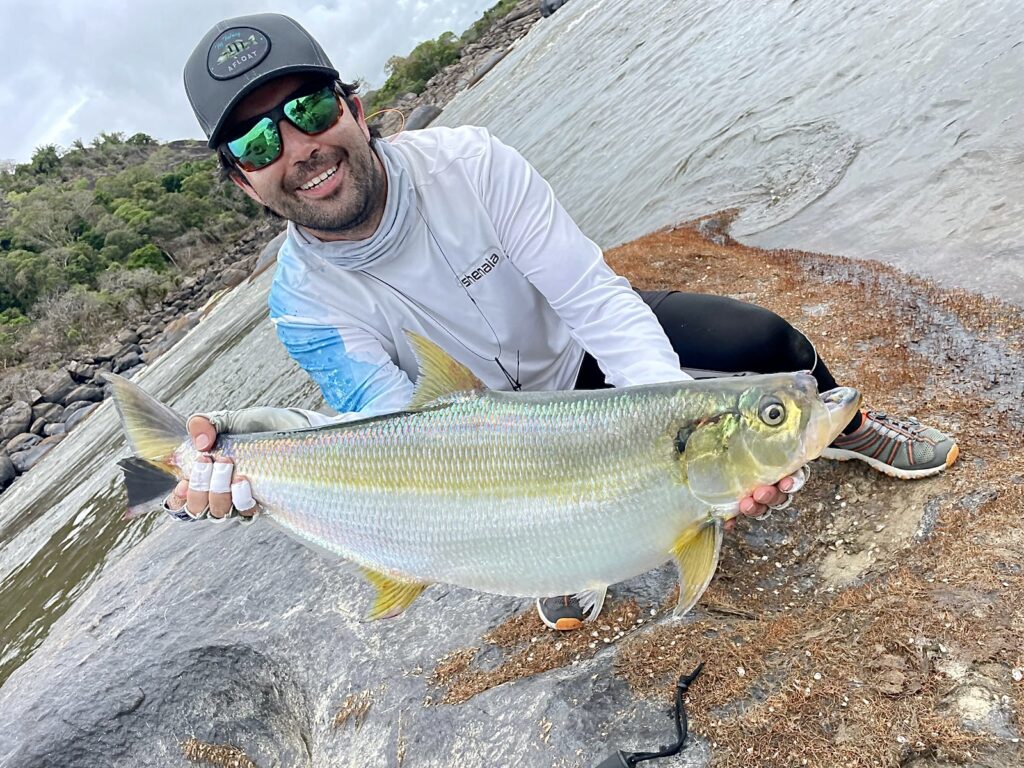 sardinata fish colombia