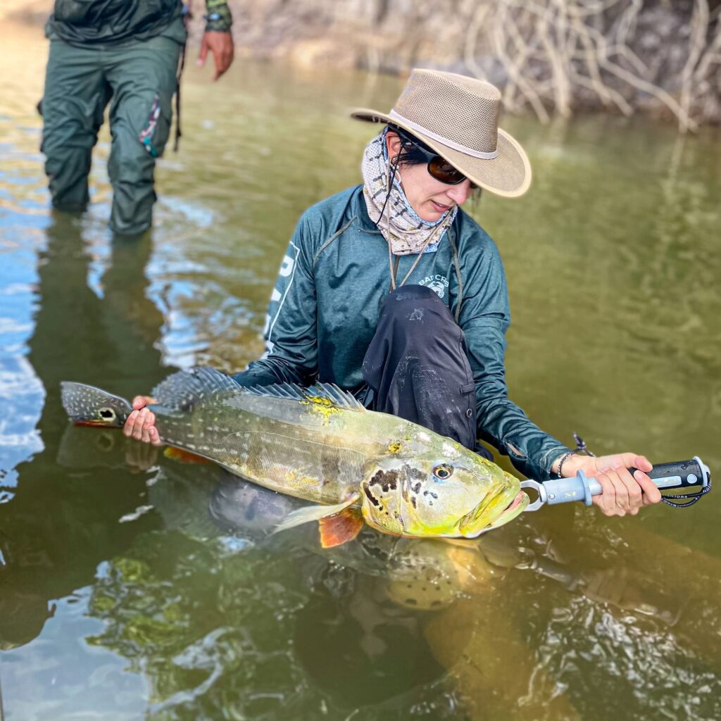 peacock bass fishing colombia