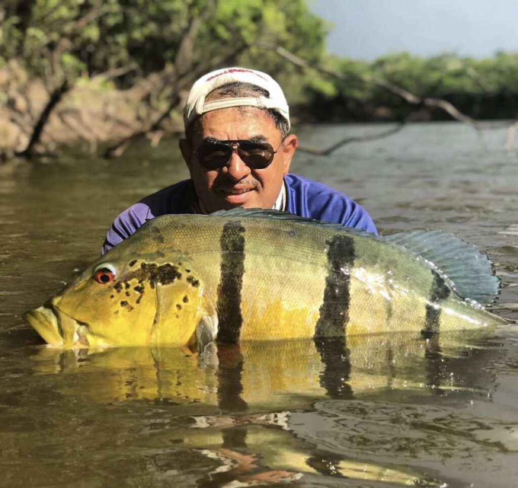 tomo river peacock bass