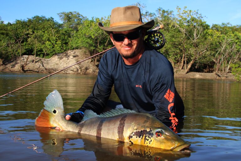 Peacock bass in colombia