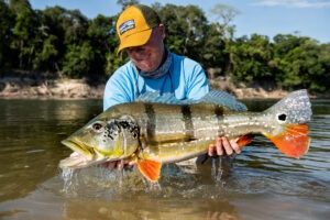 speckled peacock bass