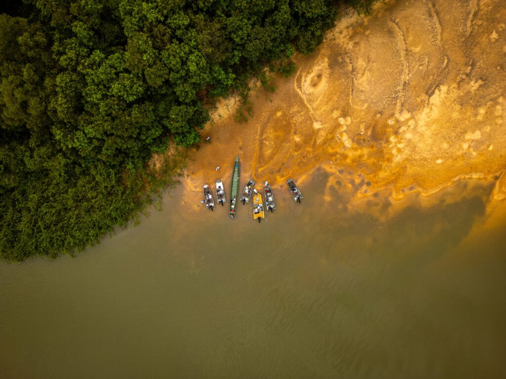 jungle fly fishing colombia