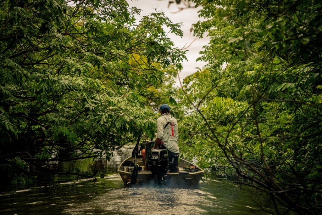 Jungle fishing vichada colombia