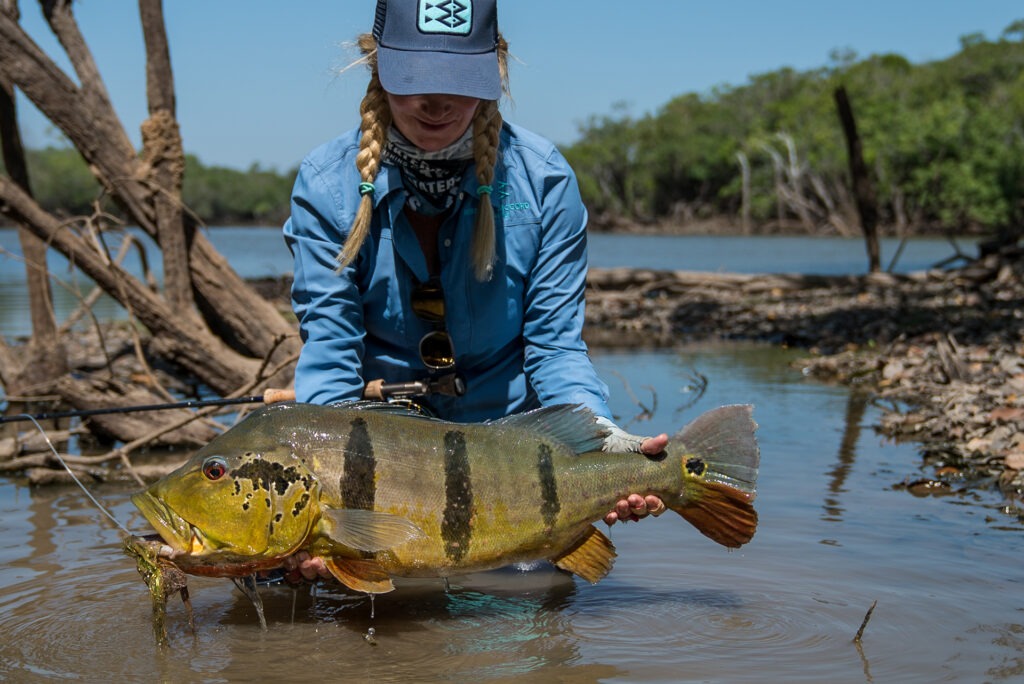 Peacock Bass fishing seasons in Colombia
