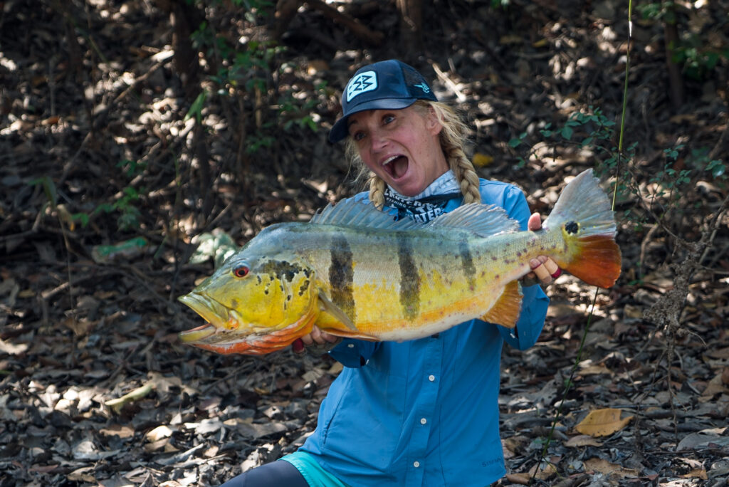 peacock bass fish colombia