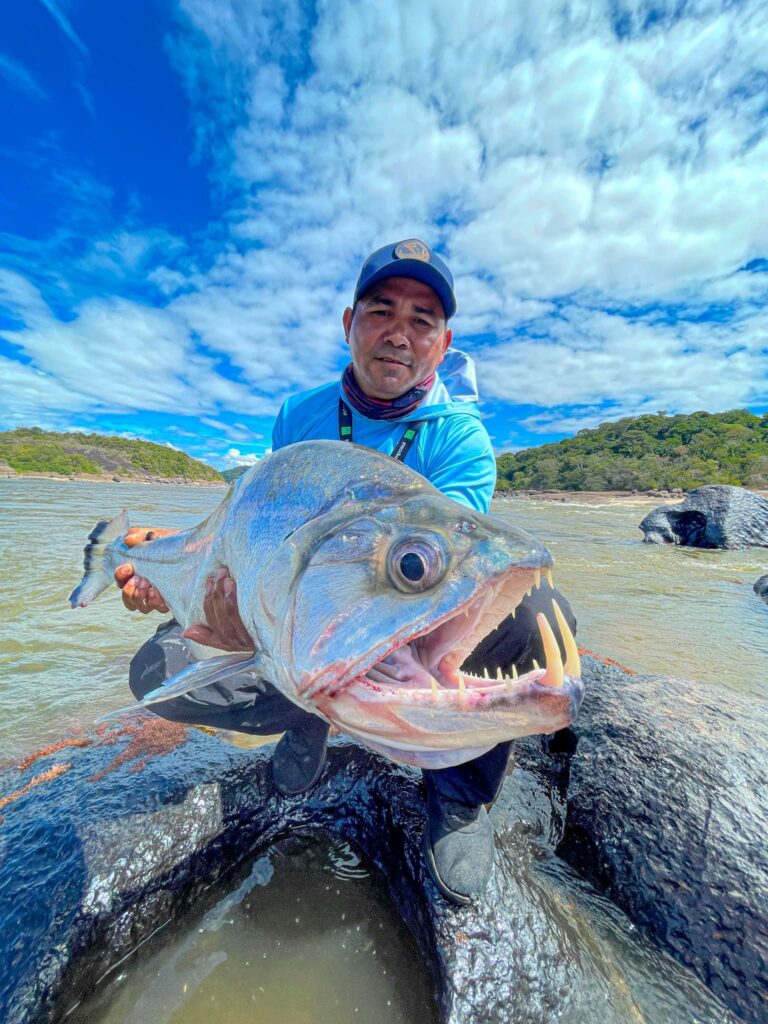 orinoco payara