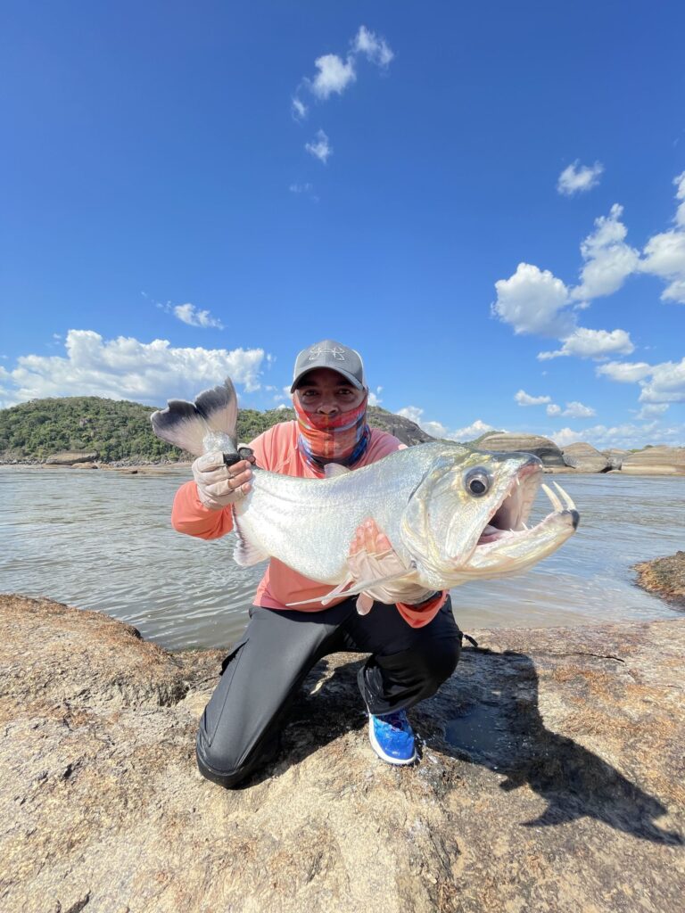 vampire fishing colombia