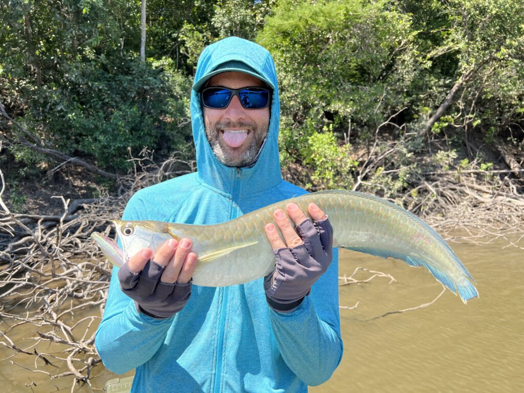 arowana