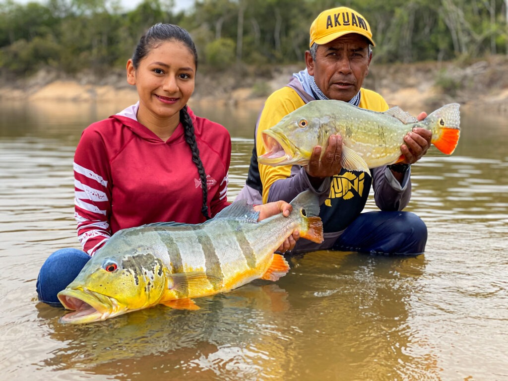 peacock bass in colombia amazon