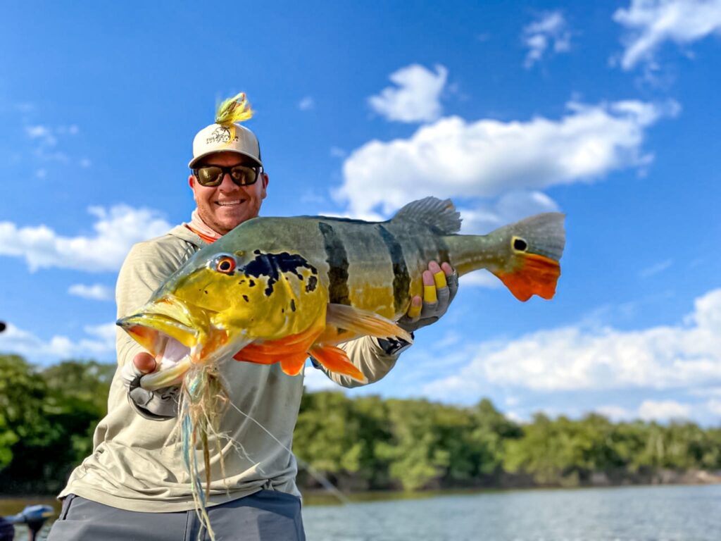 peacock bass on fly