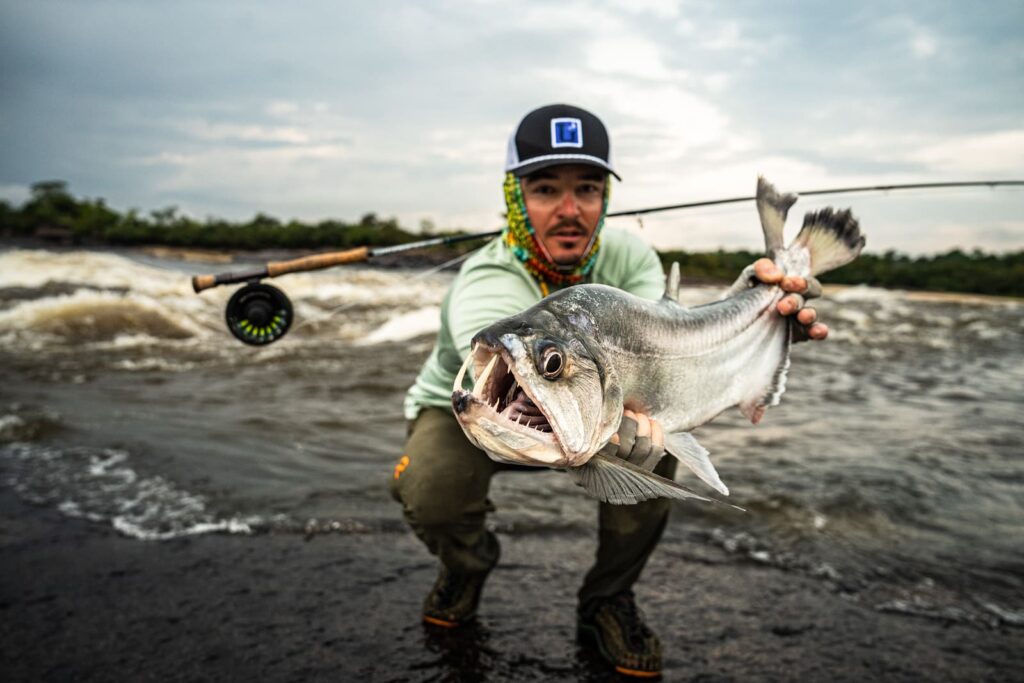 payara fly fishing