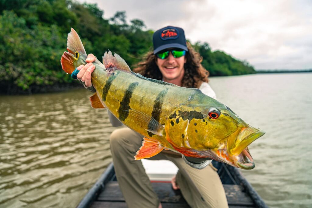 peacock bass colombia