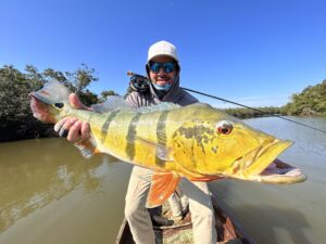 Peacock Bass fishing trips price