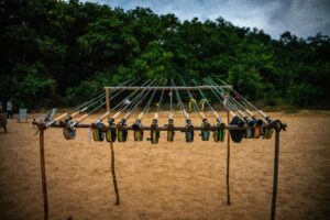 Peacock Bass Fly Fishing Gear Guide