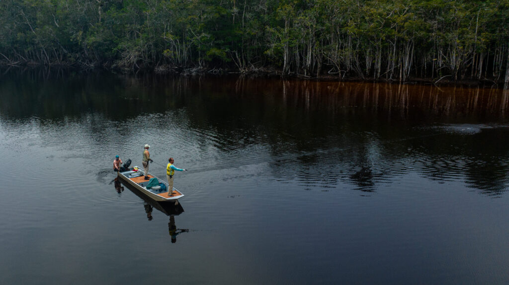 amazon colombia trip fish