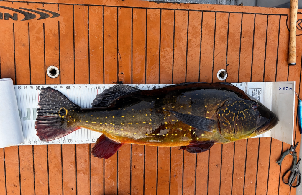 fly fishing