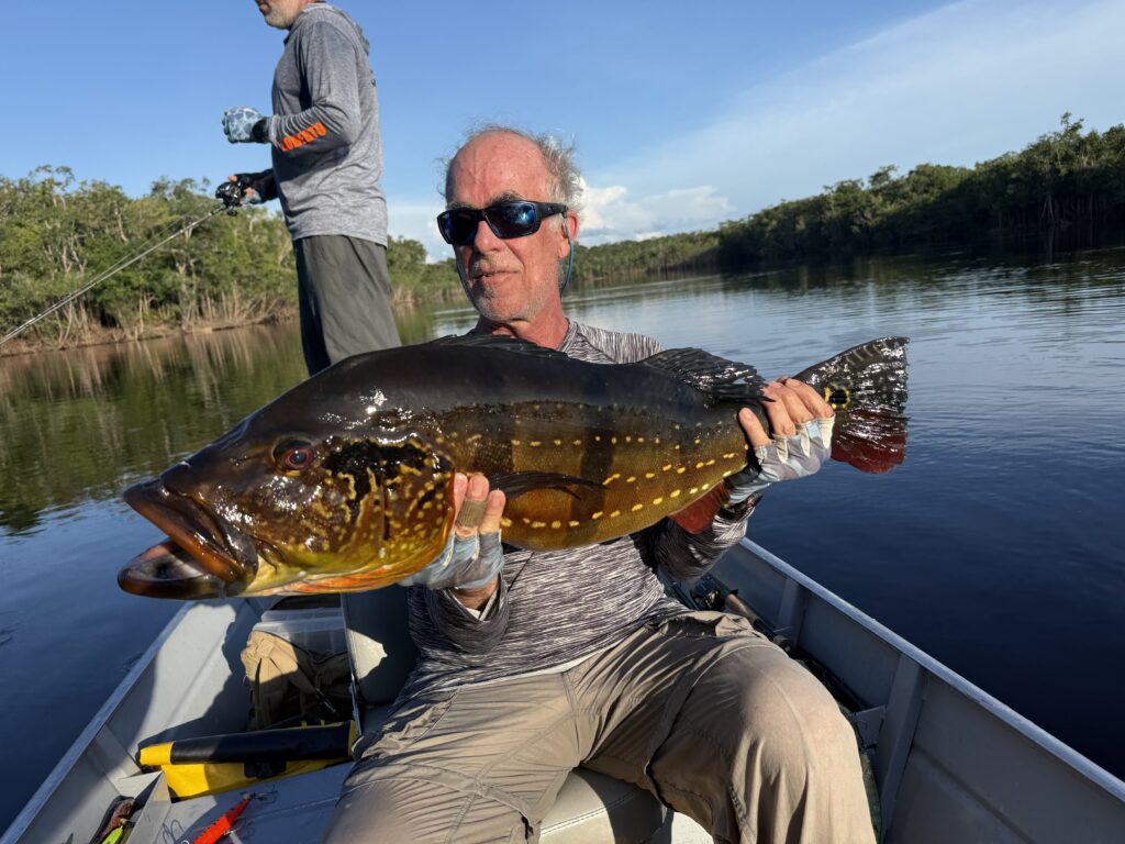 venezuela peacock bass
