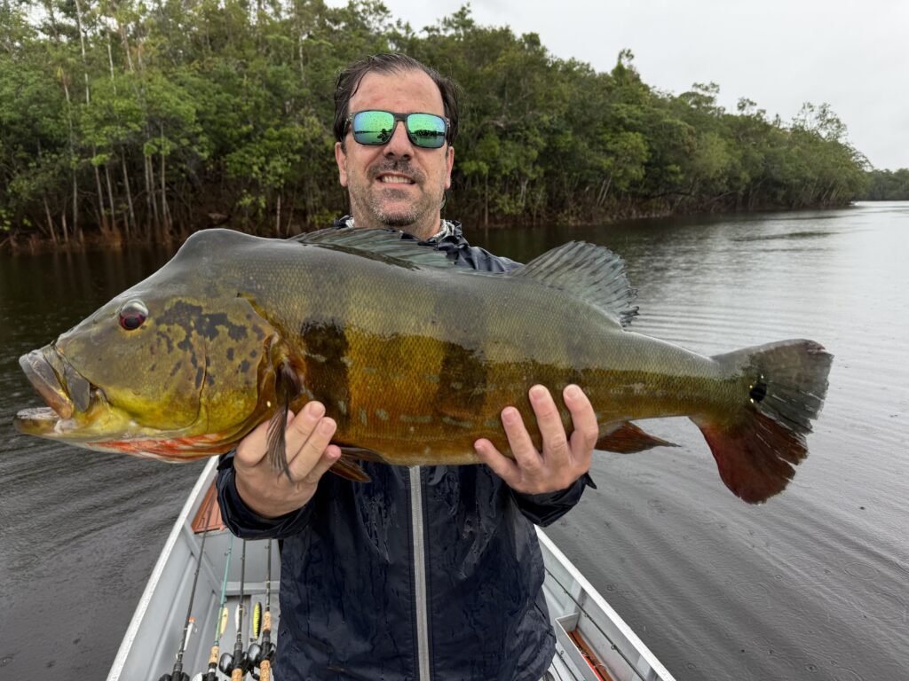 peacock bass rio pasimoni
