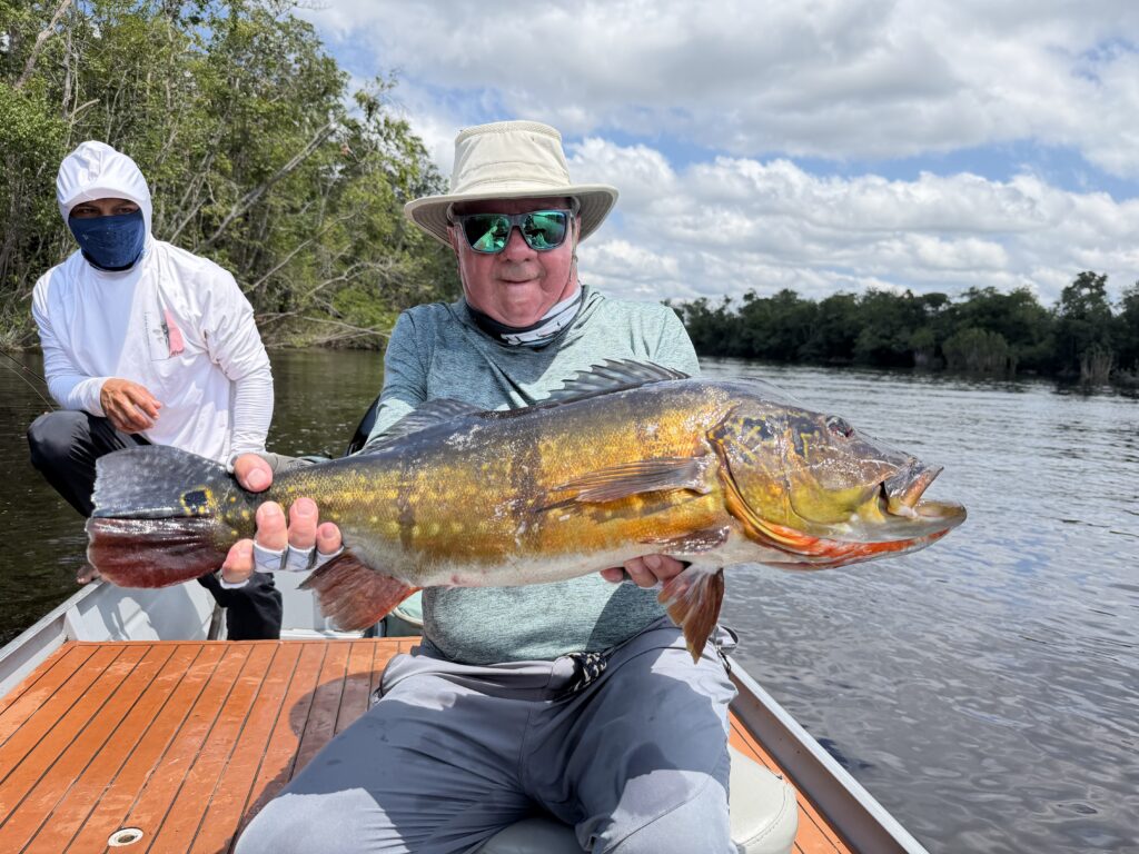 cichla peacock bass pasimoni lodge