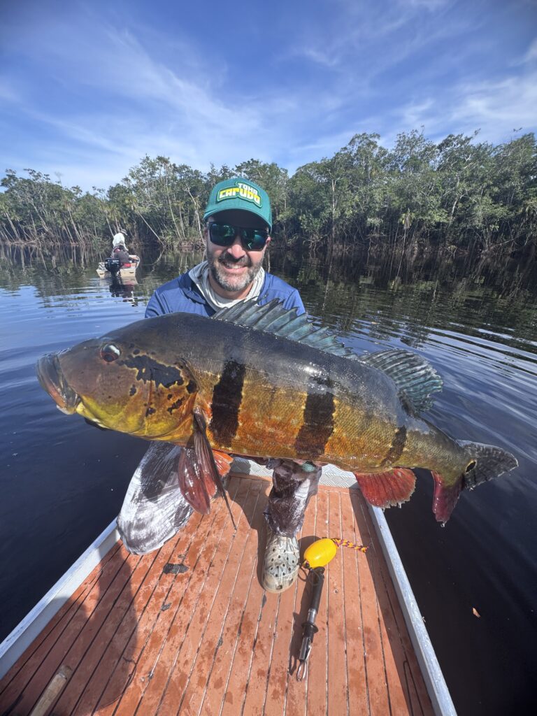 Pasimoni peacock bass
