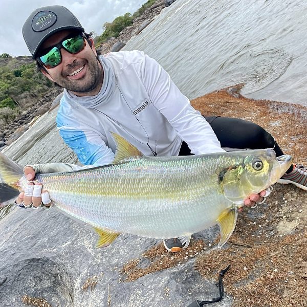 sardinata fish colombia