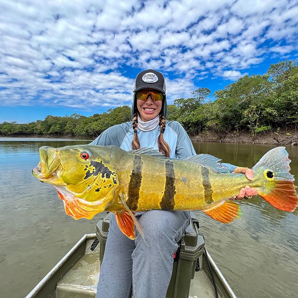 peacock bass fishing in the colombian amazon