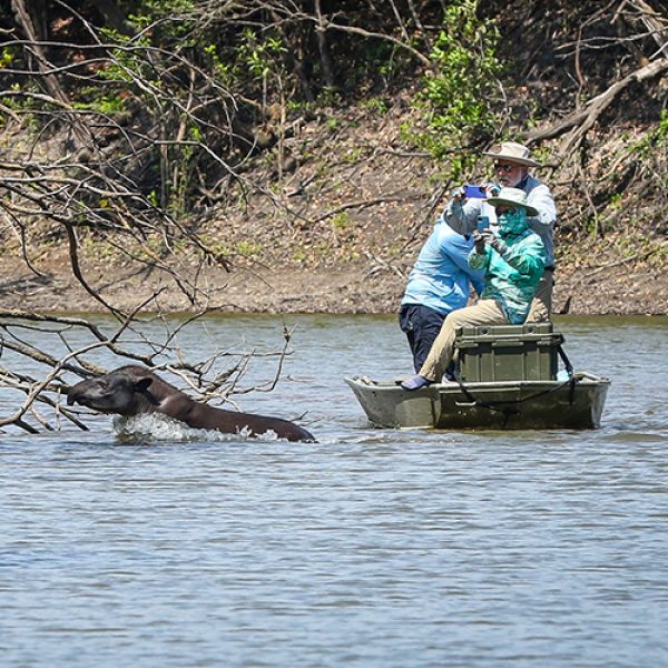 colombia nature fishing