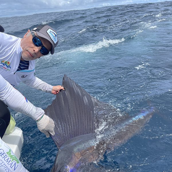 fishing colombia sailfish